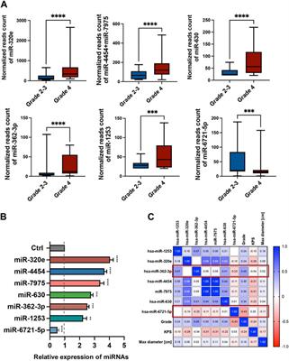 Circulating serum miR-362-3p and miR-6721-5p as potential biomarkers for classification patients with adult-type diffuse glioma